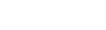 Virtual Park